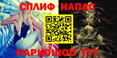 бошки Шебекино