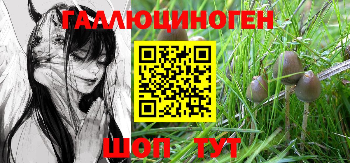 Псилоцибиновые грибы мухоморы Семёнов